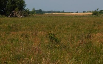 Peszéradacsi rétek