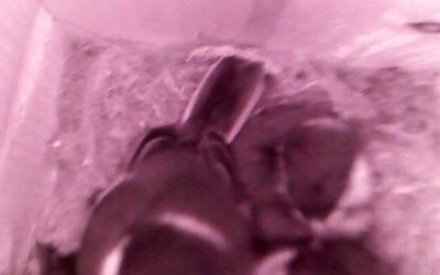 Odúkamera a kertünkben